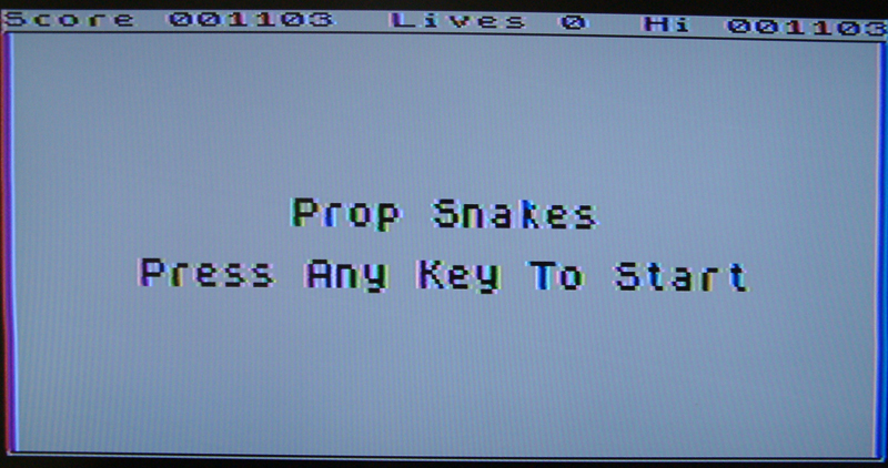 snake1.jpg